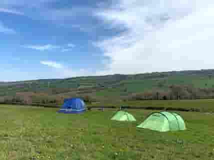 Tents on the grassy pitches