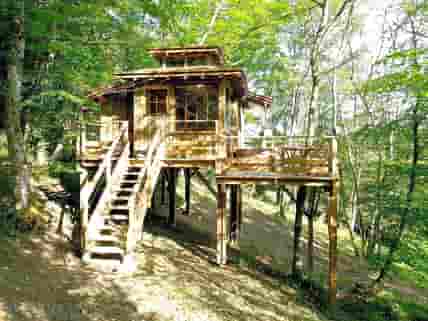 Tree house perched high above ground