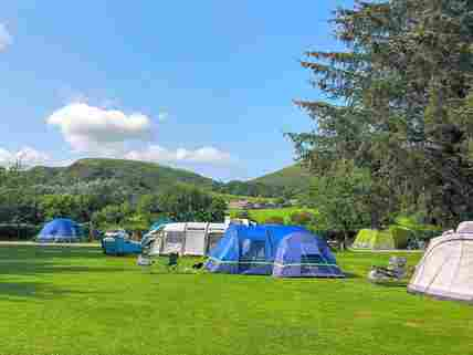 Site grass pitches