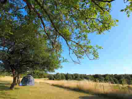 Tenting under the trees (added by manager 25 Aug 2016)