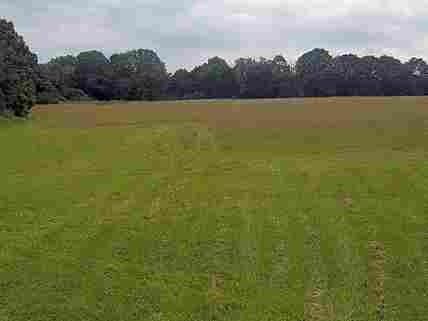 Holly farm canine centre clearance
