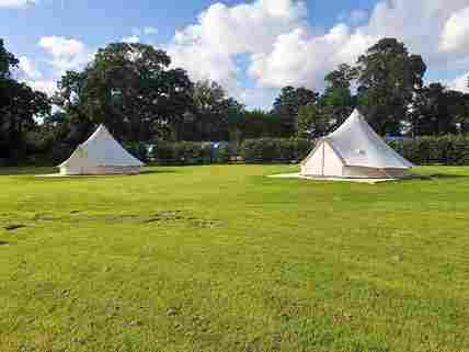 Dog friendly shop tents