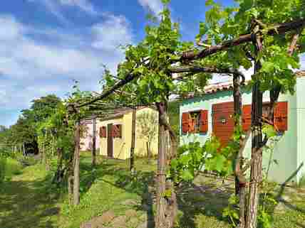 Lodges amid the vineyards