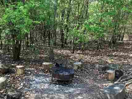 Firepit and grill provided