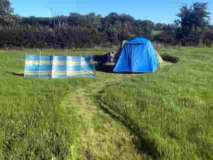 Perfect sized pitch for four adults / Two the tents.