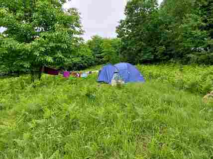 Wild camping in the tall grass