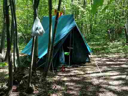small tent on small woodland pitch