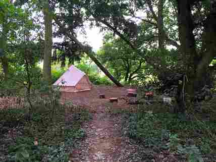 Camping in the store woods near me