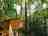 Redwood Valley - Woodland Cabin and Yurts: Elevated walkway to private compost toilet