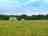 Tower Hill Campsite: Pitches