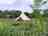 Cae Lal: Bell tent pitch