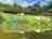 Haldon View Campsite: Visitor image of the fishing pond and pitches (photo added by manager on 05/12/2025)