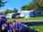 Stowford Village: Grass pitch with room for your awning and car