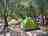 Camping Internazionale Castelfusano: Tent pitch