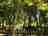 Domaine de la Bergerie: Among the trees 