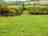 Goose Pasture Farm