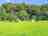 Oakenhambridge Camping: Visitor images of pitches on site (photo added by manager on 26/09/2022)