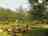Rafting Camp Tara 87 