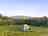 Bush Farm: Tent pitch