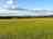 Stancombe Ash Farm: Our site is nestled in the Cotswold Area of Outstanding Natural beauty