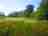 Llansawel Agored: Grassy meadow