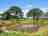 Milkmaid Meadow Campsite: Pond view from campsite