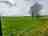 Camping Des Saturnins: Grass pitch
