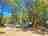 Binna Burra Campground: Pitches between the trees