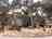 Camping Internazionale Nettuno: Playground