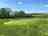 Birds and Bees Campsite: Mown space in the meadow (photo added by manager on 05/22/2023)