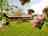 Luxury Camping at Woodhouse Farm: Hedgerow safari tent