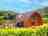 Orchard Glamping: Secure enclosed gardens around the pods (photo added by manager on 01/25/2025)