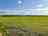 Adaura Meadows Campsite: Rural pitches (photo added by manager on 06/08/2024)