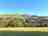 The Llama Farm 