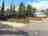 Fox Farm Motorhome Park: Motorhome breaks in Cornwall