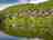 Thistle Lodges: Thistle Lodges within a well-kept development with a private loch
