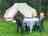 Dordogne Glamping
