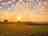 Sunset Camping: Visitor image of the sunset view overlooking the field next to pitch 