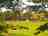 Dernwood Farm Wild Camping: Wild Camping field (photo added by manager on 09/15/2022)
