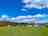Marwell Resort: Grass pitches 