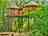 Treehouse In Devon: Treehouse exterior with steps to the entrance 