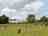 Freedom Farm: Pitching field (photo added by manager on 12/16/2024)