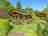 Aymestrey Lodges: Wooden cabins surrounded by greenery