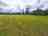 St. Peter's Farm Campsite: Camping field (photo added by manager on 05/08/2025)
