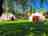 Aldwark Bridge Glamping: Willow tree garden (photo added by manager on 05/02/2025)