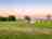 Little Fish Meadow: Grass pitches