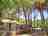 Camping Fico D'India