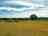 Twin Oaks Caravan and Camping: Visitor image of the communal campfire in centre