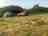 Middle White Hill Camping: Spacious grass pitches