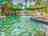 Knotts Crossing Resort: Main Pool